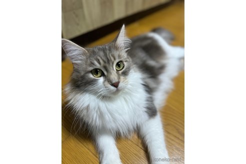 MIO（みお）ちゃん1枚目